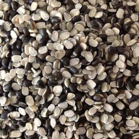/Upload/Date_17_Jul_2026_04_29_10_URAD DAL.jpg
